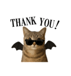 秋のサングラス猫♥ハロウィンやお月見（個別スタンプ：23）
