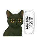 黒猫クロのひとことスタンプ（個別スタンプ：7）