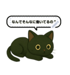 黒猫クロのひとことスタンプ（個別スタンプ：8）
