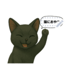 黒猫クロのひとことスタンプ（個別スタンプ：9）