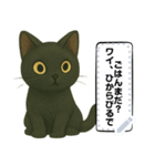 黒猫クロのひとことスタンプ（個別スタンプ：18）