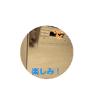 動くマリーさん（個別スタンプ：14）