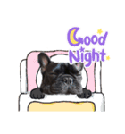 れのくんで話そう♬（個別スタンプ：11）