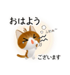 色々な猫12-1 短毛-立ち耳-茶トラ白（個別スタンプ：2）