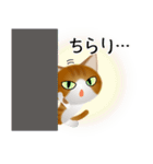 色々な猫12-1 短毛-立ち耳-茶トラ白（個別スタンプ：6）