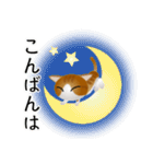 色々な猫12-1 短毛-立ち耳-茶トラ白（個別スタンプ：7）