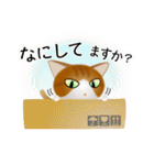 色々な猫12-1 短毛-立ち耳-茶トラ白（個別スタンプ：8）