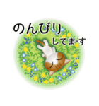 色々な猫12-1 短毛-立ち耳-茶トラ白（個別スタンプ：19）