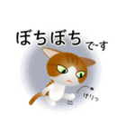色々な猫12-1 短毛-立ち耳-茶トラ白（個別スタンプ：20）