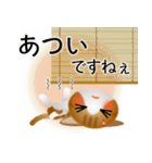 色々な猫12-1 短毛-立ち耳-茶トラ白（個別スタンプ：21）