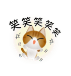 色々な猫12-1 短毛-立ち耳-茶トラ白（個別スタンプ：26）