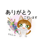 色々な猫12-1 短毛-立ち耳-茶トラ白（個別スタンプ：31）
