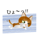 色々な猫12-1 短毛-立ち耳-茶トラ白（個別スタンプ：34）