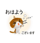 色々な猫12-2 短毛-垂れ耳-茶トラ白（個別スタンプ：2）