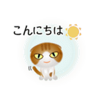 色々な猫12-2 短毛-垂れ耳-茶トラ白（個別スタンプ：5）