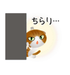 色々な猫12-2 短毛-垂れ耳-茶トラ白（個別スタンプ：6）