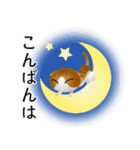 色々な猫12-2 短毛-垂れ耳-茶トラ白（個別スタンプ：7）