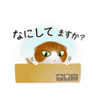 色々な猫12-2 短毛-垂れ耳-茶トラ白（個別スタンプ：8）