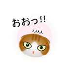 色々な猫12-2 短毛-垂れ耳-茶トラ白（個別スタンプ：10）