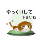 色々な猫12-2 短毛-垂れ耳-茶トラ白（個別スタンプ：12）