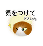 色々な猫12-2 短毛-垂れ耳-茶トラ白（個別スタンプ：14）