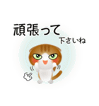 色々な猫12-2 短毛-垂れ耳-茶トラ白（個別スタンプ：16）