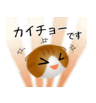 色々な猫12-2 短毛-垂れ耳-茶トラ白（個別スタンプ：17）