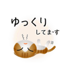 色々な猫12-2 短毛-垂れ耳-茶トラ白（個別スタンプ：18）