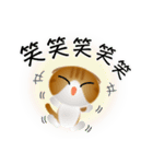 色々な猫12-2 短毛-垂れ耳-茶トラ白（個別スタンプ：26）