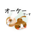 色々な猫12-2 短毛-垂れ耳-茶トラ白（個別スタンプ：28）