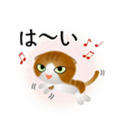 色々な猫12-2 短毛-垂れ耳-茶トラ白（個別スタンプ：29）