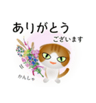 色々な猫12-2 短毛-垂れ耳-茶トラ白（個別スタンプ：31）