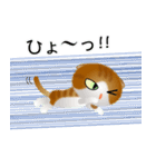 色々な猫12-2 短毛-垂れ耳-茶トラ白（個別スタンプ：34）