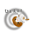 色々な猫12-2 短毛-垂れ耳-茶トラ白（個別スタンプ：35）