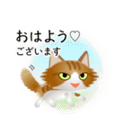 色々な猫12-3 長毛-立ち耳-茶トラ白（個別スタンプ：1）