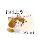 色々な猫12-3 長毛-立ち耳-茶トラ白（個別スタンプ：2）