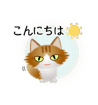 色々な猫12-3 長毛-立ち耳-茶トラ白（個別スタンプ：5）