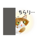 色々な猫12-3 長毛-立ち耳-茶トラ白（個別スタンプ：6）