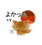 色々な猫12-3 長毛-立ち耳-茶トラ白（個別スタンプ：11）
