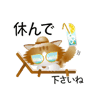 色々な猫12-3 長毛-立ち耳-茶トラ白（個別スタンプ：13）