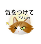 色々な猫12-3 長毛-立ち耳-茶トラ白（個別スタンプ：14）
