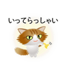色々な猫12-3 長毛-立ち耳-茶トラ白（個別スタンプ：15）