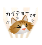 色々な猫12-3 長毛-立ち耳-茶トラ白（個別スタンプ：17）
