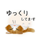 色々な猫12-3 長毛-立ち耳-茶トラ白（個別スタンプ：18）
