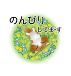 色々な猫12-3 長毛-立ち耳-茶トラ白（個別スタンプ：19）