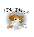色々な猫12-3 長毛-立ち耳-茶トラ白（個別スタンプ：20）