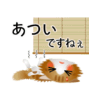 色々な猫12-3 長毛-立ち耳-茶トラ白（個別スタンプ：21）