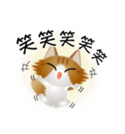 色々な猫12-3 長毛-立ち耳-茶トラ白（個別スタンプ：26）