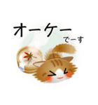 色々な猫12-3 長毛-立ち耳-茶トラ白（個別スタンプ：28）