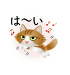 色々な猫12-3 長毛-立ち耳-茶トラ白（個別スタンプ：29）